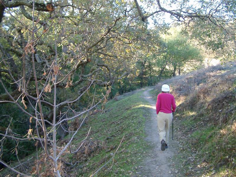 hiking the Camino Verde Circle to Sousa Lane Trail