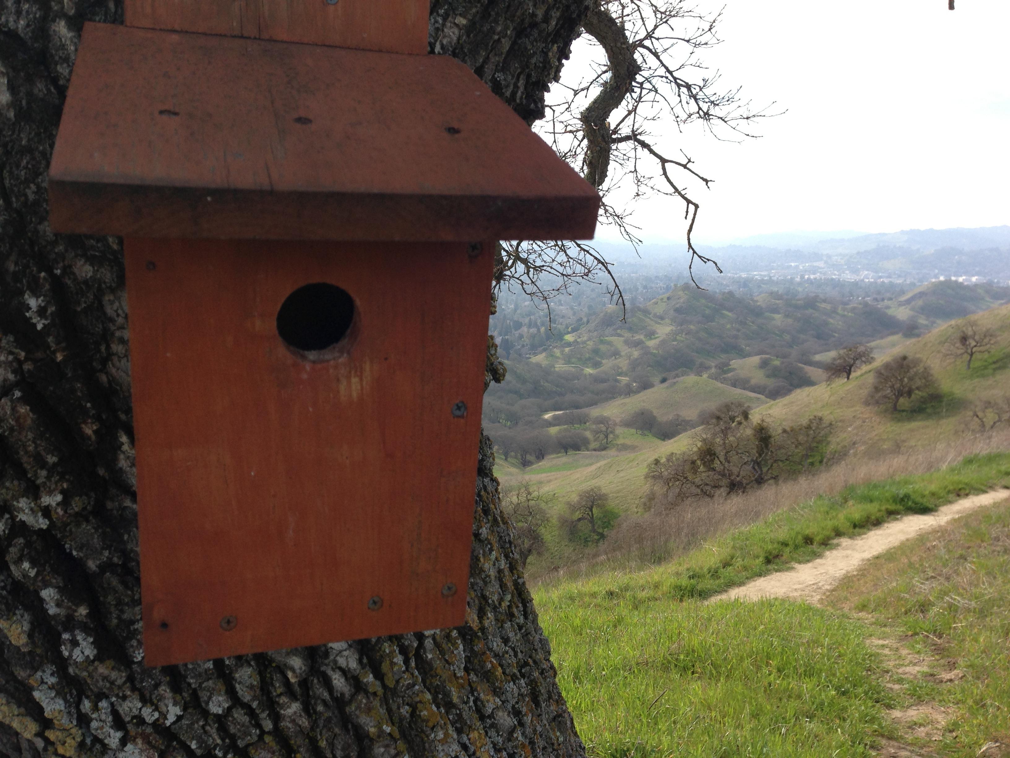 Bluebird box on Ridgetop trail