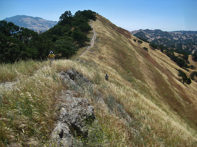 shell ridge summit trail